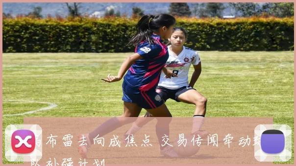 乌布雷去向成焦点 交易传闻牵动球队补强计划